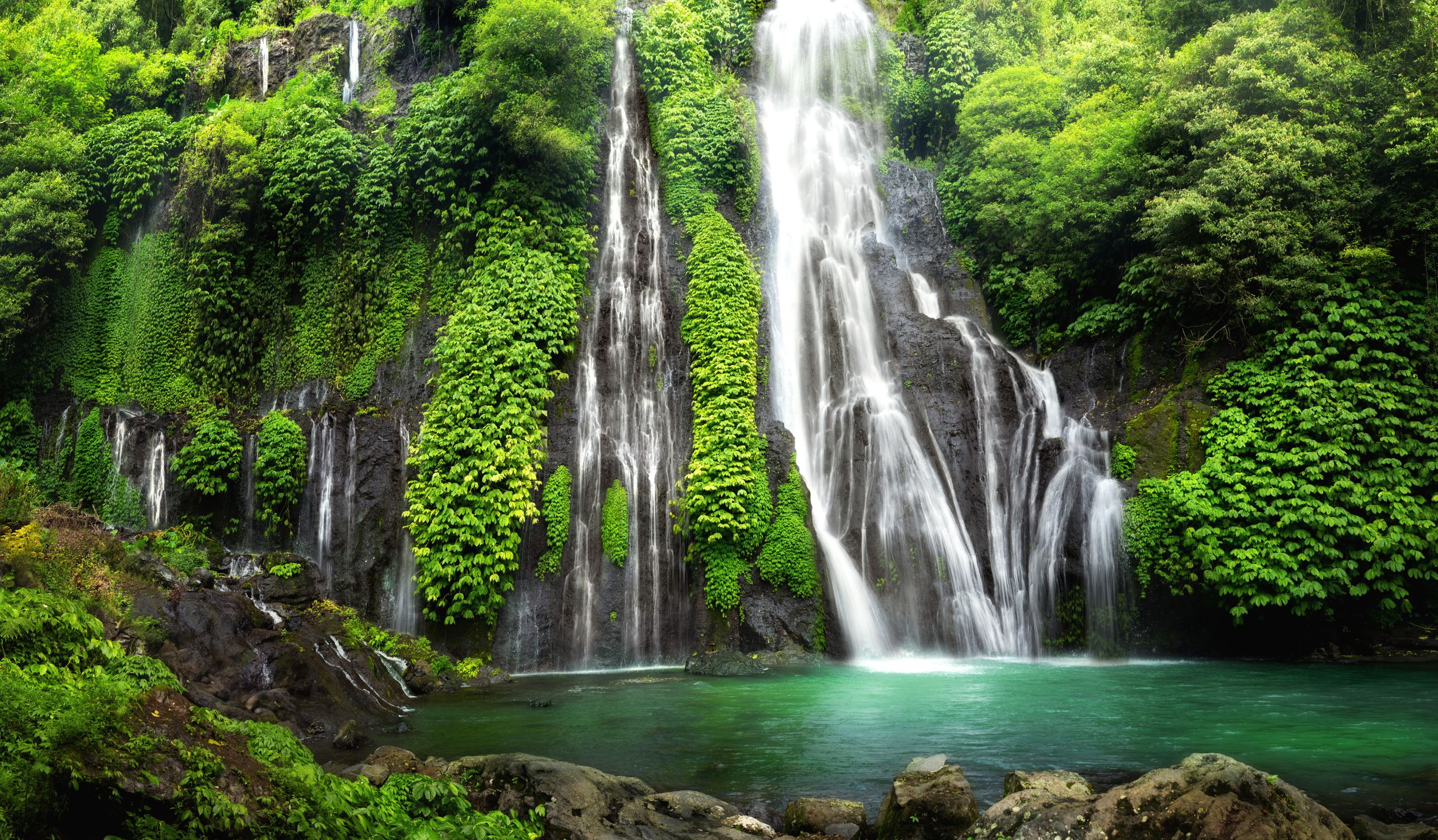 Bali image 2